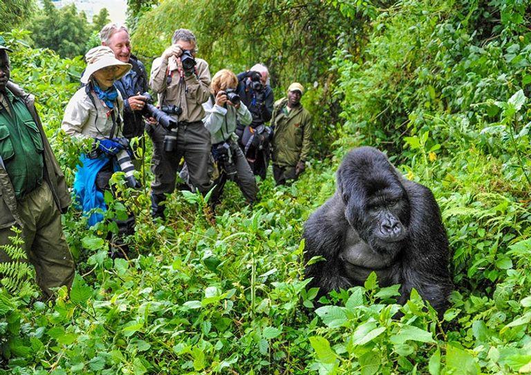 Ketar Tours